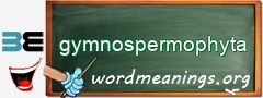 WordMeaning blackboard for gymnospermophyta